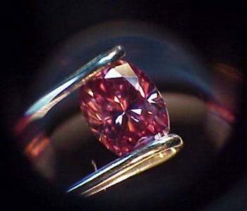 pink diamond intense